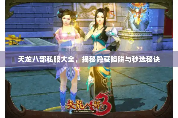 天龙八部私服大全，揭秘隐藏陷阱与秒选秘诀