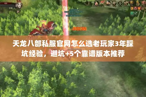天龙八部私服官网怎么选老玩家3年踩坑经验，避坑+5个靠谱版本推荐