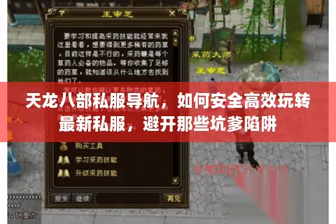 天龙八部私服导航，如何安全高效玩转最新私服，避开那些坑爹陷阱