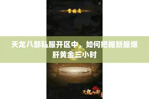 天龙八部私服开区中，如何把握新服爆肝黄金三小时