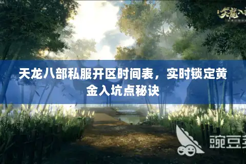 天龙八部私服开区时间表,实时锁定黄金入坑点秘诀 天龙八部私服开区时间表,实时锁定黄金入坑点秘诀