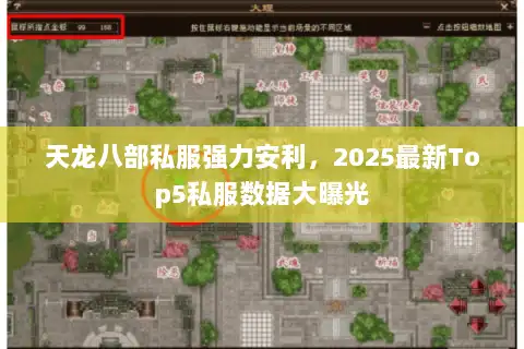 天龙八部私服强力安利，2025最新Top5私服数据大曝光