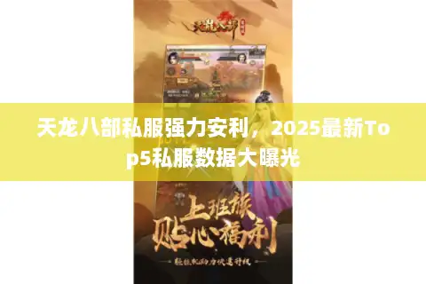 天龙八部私服强力安利，2025最新Top5私服数据大曝光