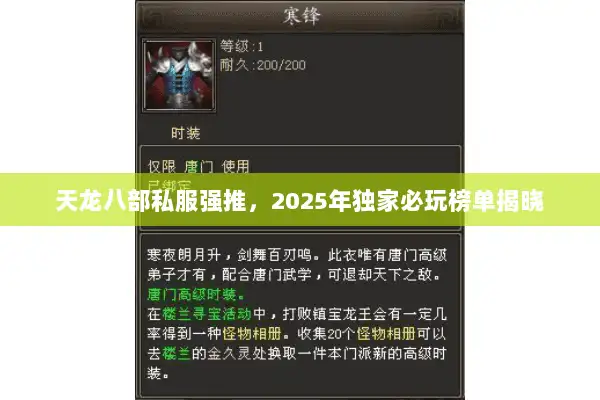 天龙八部私服强推，2025年独家必玩榜单揭晓