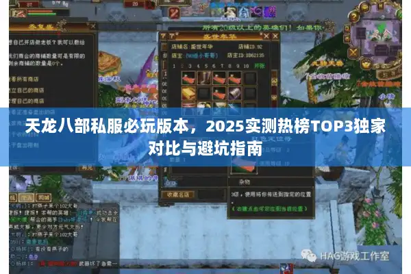 天龙八部私服必玩版本，2025实测热榜TOP3独家对比与避坑指南