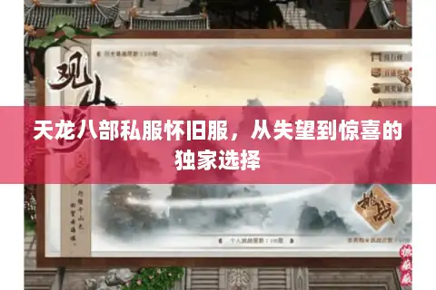 天龙八部私服怀旧服，从失望到惊喜的独家选择