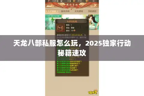 天龙八部私服怎么玩，2025独家行动秘籍速攻