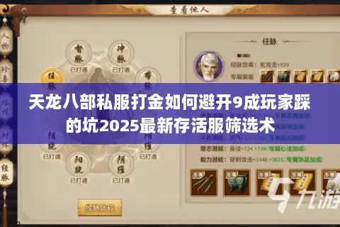 天龙八部私服打金如何避开9成玩家踩的坑2025最新存活服筛选术