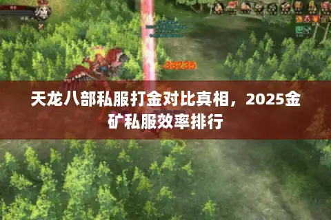 天龙八部私服打金对比真相，2025金矿私服效率排行