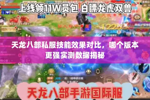 天龙八部私服技能效果对比，哪个版本更强实测数据揭秘
