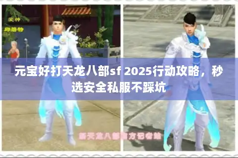 元宝好打天龙八部sf 2025行动攻略，秒选安全私服不踩坑