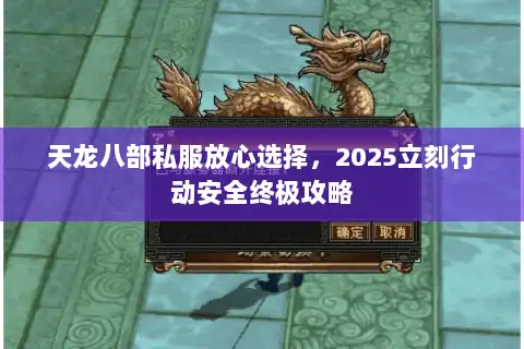 天龙八部私服放心选择，2025立刻行动安全终极攻略