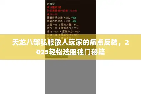 天龙八部私服散人玩家的痛点反转，2025轻松选服独门秘籍