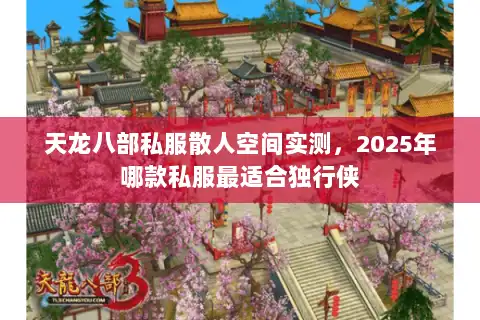 天龙八部私服散人空间实测，2025年哪款私服最适合独行侠