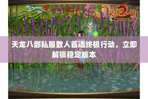 天龙八部私服散人首选终极行动,立即解锁稳定版本 天龙八部私服散人首选终极行动,立即解锁稳定版本
