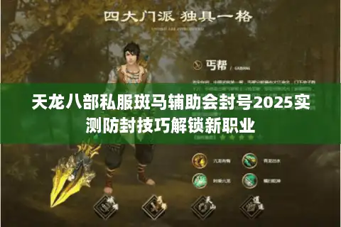 天龙八部私服斑马辅助会封号2025实测防封技巧解锁新职业