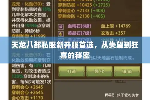天龙八部私服新开服首选，从失望到狂喜的秘密