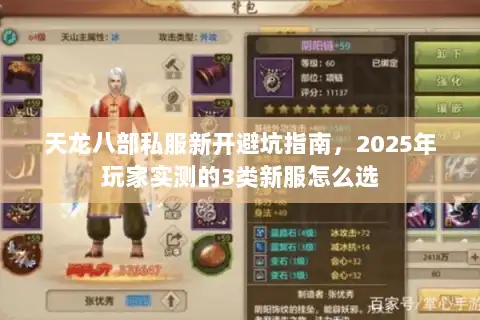 天龙八部私服新开避坑指南，2025年玩家实测的3类新服怎么选