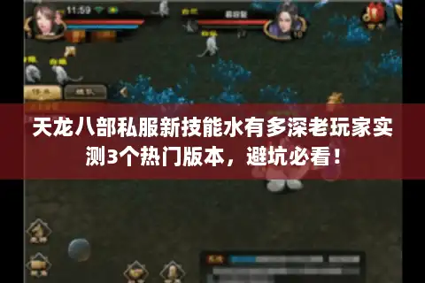 天龙八部私服新技能水有多深老玩家实测3个热门版本，避坑必看！