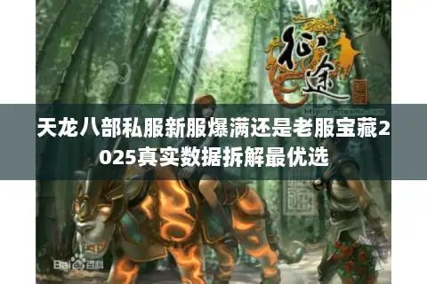 天龙八部私服新服爆满还是老服宝藏2025真实数据拆解最优选 天龙八部私服新服爆满还是老服宝藏2025真实数据拆解最优选