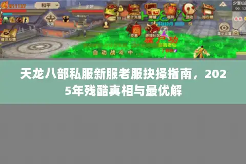 天龙八部私服新服老服抉择指南，2025年残酷真相与最优解