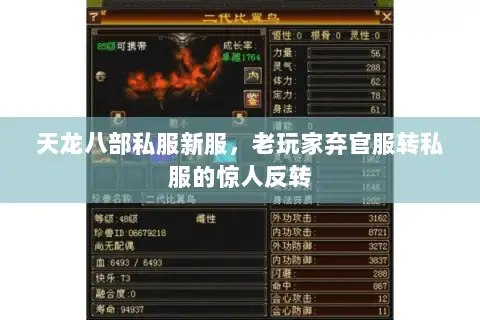 天龙八部私服新服，老玩家弃官服转私服的惊人反转