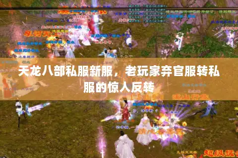 天龙八部私服新服，老玩家弃官服转私服的惊人反转