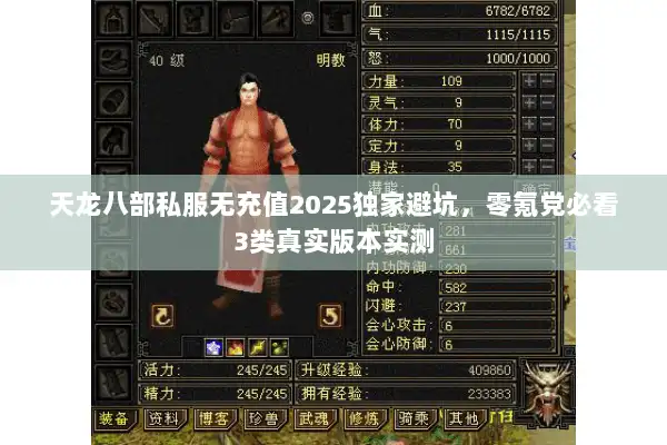 天龙八部私服无充值2025独家避坑，零氪党必看3类真实版本实测