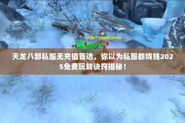 天龙八部私服无充值首选，你以为私服都烧钱2025免费玩转诀窍揭秘！