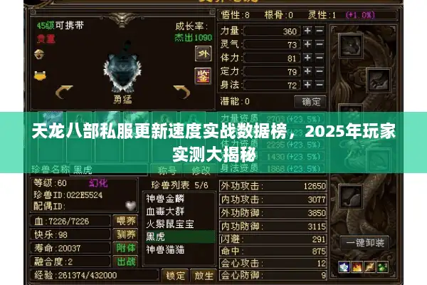 天龙八部私服更新速度实战数据榜，2025年玩家实测大揭秘