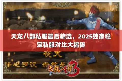 天龙八部私服最后筛选，2025独家稳定私服对比大揭秘