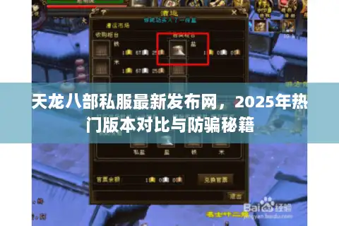 天龙八部私服最新发布网，2025年热门版本对比与防骗秘籍