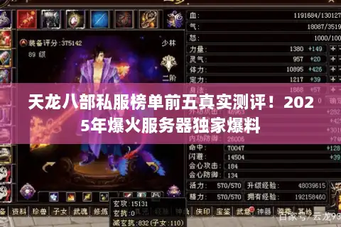 天龙八部私服榜单前五真实测评！2025年爆火服务器独家爆料