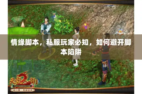 情缘脚本，私服玩家必知，如何避开脚本陷阱