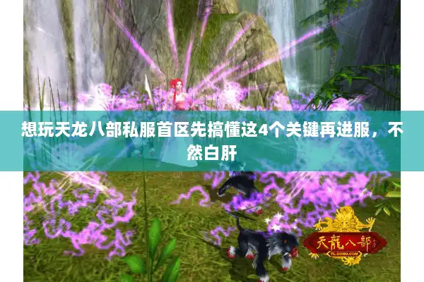 想玩天龙八部私服首区先搞懂这4个关键再进服,不然白肝 想玩天龙八部私服首区先搞懂这4个关键再进服,不然白肝