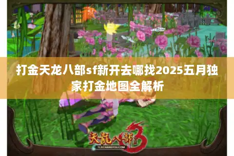 打金天龙八部sf新开去哪找2025五月独家打金地图全解析
