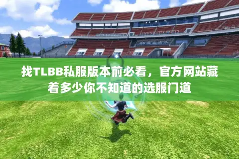 找TLBB私服版本前必看,官方网站藏着多少你不知道的选服门道 找TLBB私服版本前必看,官方网站藏着多少你不知道的选服门道