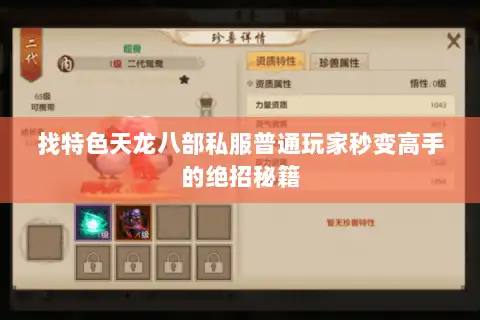 找特色天龙八部私服普通玩家秒变高手的绝招秘籍