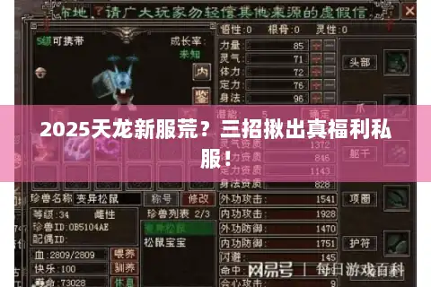 2025天龙新服荒？三招揪出真福利私服！