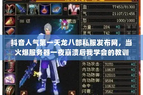 抖音人气第一天龙八部私服发布网，当火爆服务器一夜崩溃后我学会的教训