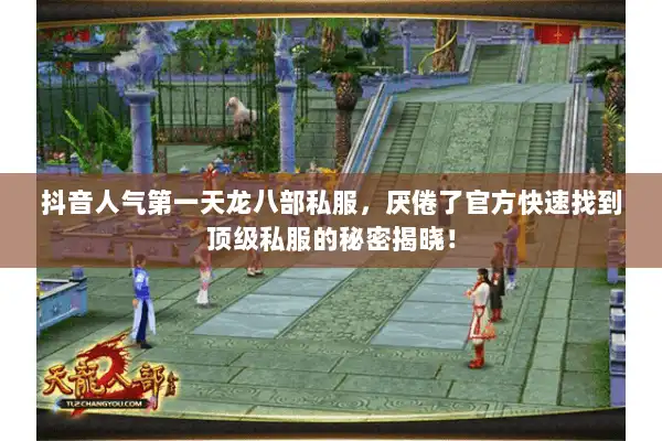 抖音人气第一天龙八部私服，厌倦了官方快速找到顶级私服的秘密揭晓！