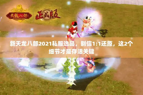 新天龙八部2021私服选品,别信1:1还原,这2个细节才是存活关键 新天龙八部2021私服选品,别信1:1还原,这2个细节才是存活关键