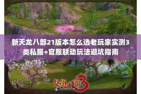 新天龙八部21版本怎么选老玩家实测3类私服+官服联动玩法避坑指南