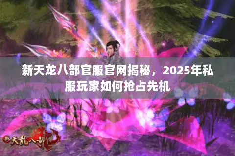 新天龙八部官服官网揭秘，2025年私服玩家如何抢占先机