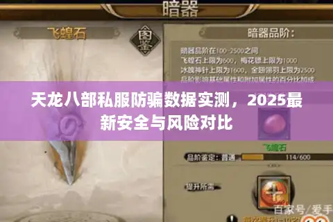 天龙八部私服防骗数据实测，2025最新安全与风险对比