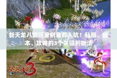 新天龙八部玩家别急着入坑!私服、版本、攻略的3个关键判断法 新天龙八部玩家别急着入坑!私服、版本、攻略的3个关键判断法