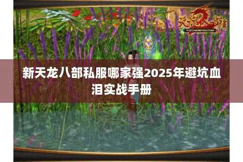 新天龙八部私服哪家强2025年避坑血泪实战手册 新天龙八部私服哪家强2025年避坑血泪实战手册