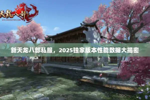 新天龙八部私服，2025独家版本性能数据大揭密