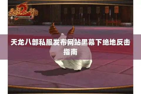 天龙八部私服发布网站黑幕下绝地反击指南