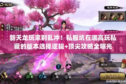 新天龙玩家别乱冲！私服坑在哪高玩私藏的版本选择逻辑+顶尖攻略全曝光
